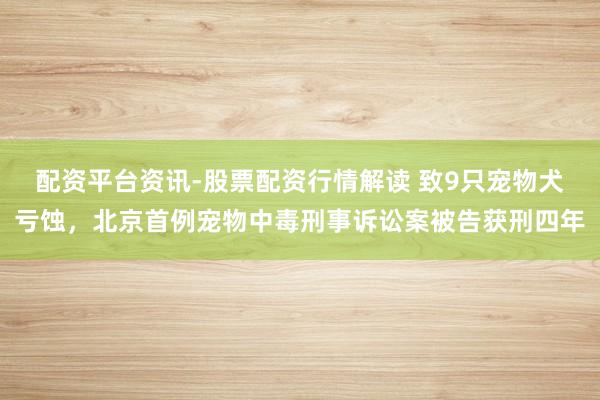 配资平台资讯-股票配资行情解读 致9只宠物犬亏蚀，北京首例宠物中毒刑事诉讼案被告获刑四年